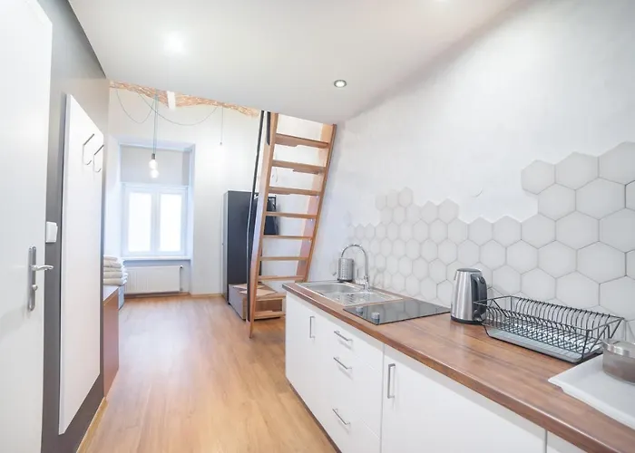 Dizzy Daisy Downtown 크라쿠프